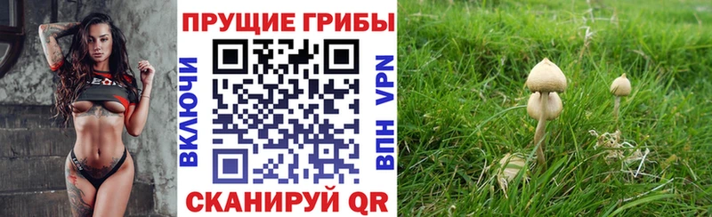 Галлюциногенные грибы Magic Shrooms  Купить закладки  Костерёво 